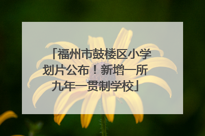 福州市鼓楼区小学划片公布！新增一所九年一贯制学校
